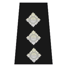 Chief Inspector